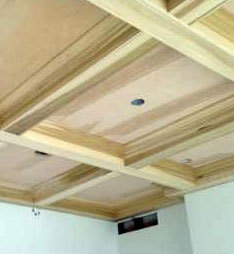 Oakland County Coffered Ceiling 